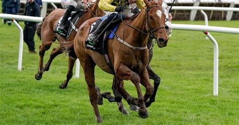 cheltenham festival champion hurdle|Cheltenham Festival 2024: State Man wins Champion Hurdle for Willie .